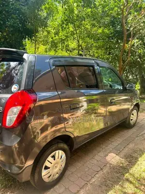 Suzuki Alto 800 2014 Car (Used)