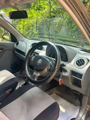 Suzuki Alto 800 2014 Car (Used)