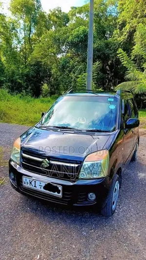 Suzuki Wagon R 2010 Car (Used)