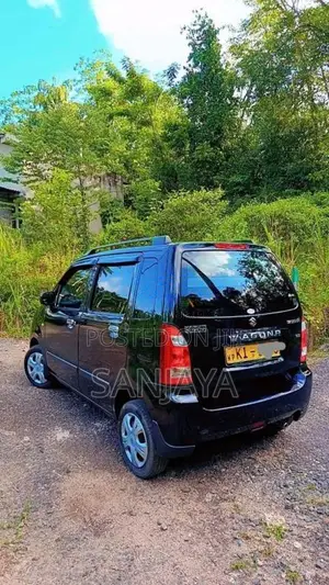 Suzuki Wagon R 2010 Car (Used)