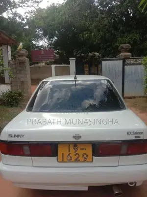 Nissan Doctor Sunny 1992 Car (Used)