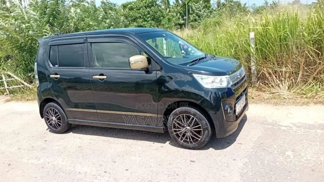 Suzuki Wagon R 2014 Car (Used)