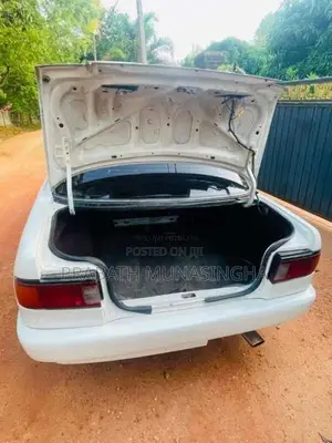 Nissan Doctor Sunny 1992 Car (Used)