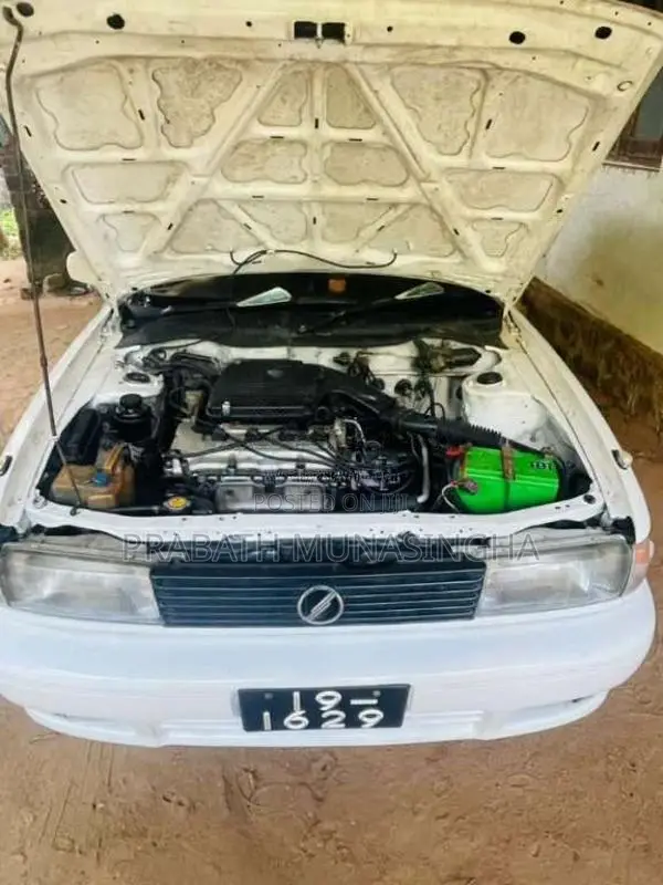 Nissan Doctor Sunny 1992 Car (Used)