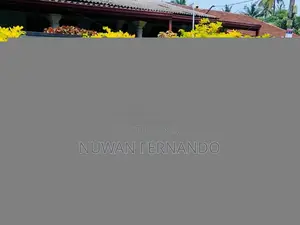 Suzuki Wagon R FX 2019 Car (Used)