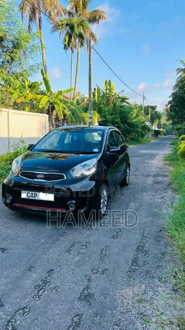 Kia Picanto GT Line 2016 Car (Used)