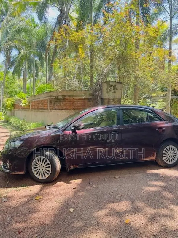Toyota Allion 2014 Car (Used)