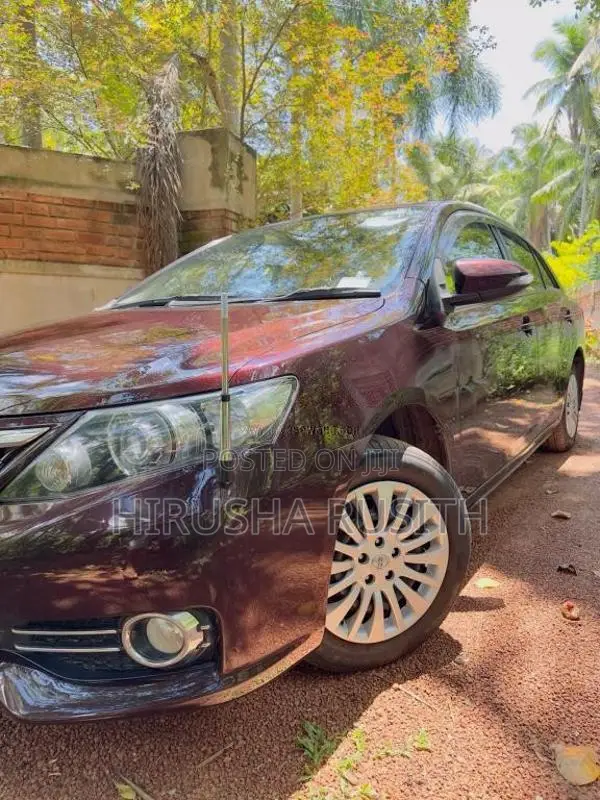 Toyota Allion 2014 Car (Used)