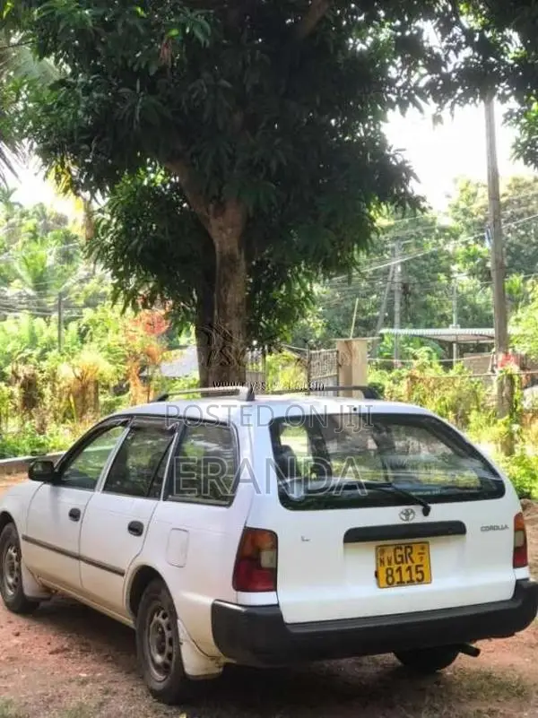 Toyota Corolla 1998 Car (Used)