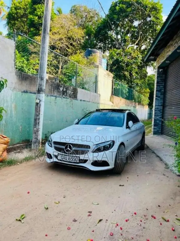 Mercedes-Benz W205 2017 Car (Used)