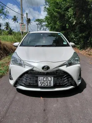 Toyota Vitz 2019 Car (Used)