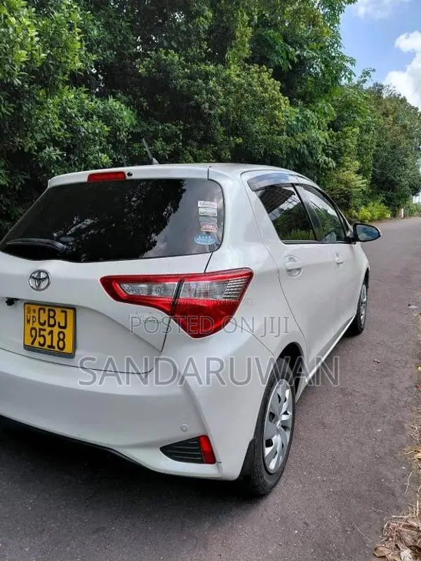 Toyota Vitz 2019 Car (Used)