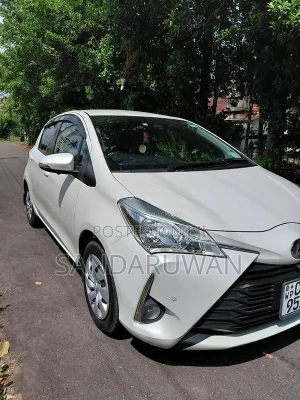 Toyota Vitz 2019 Car (Used)