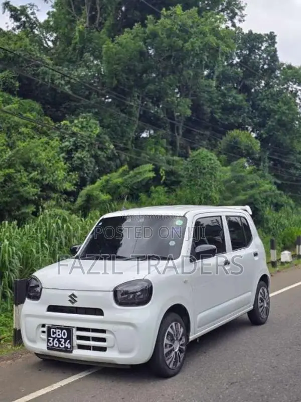 Suzuki Alto 2024 Car (Used)
