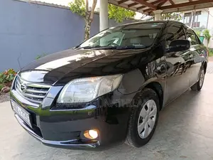 Toyota Axio 2010 Car (Used)