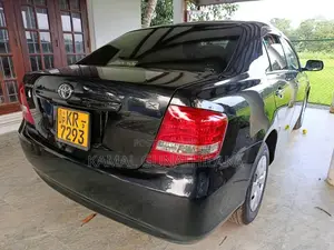 Toyota Axio 2010 Car (Used)