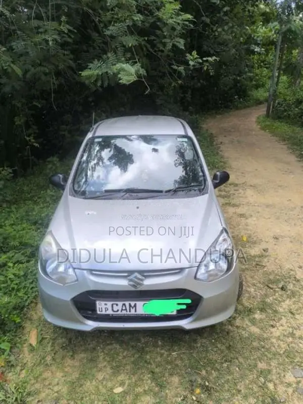Suzuki Alto 2015 Car (Used)