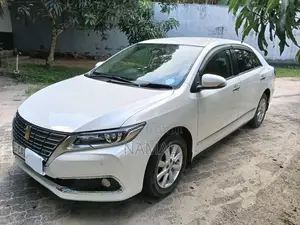 Toyota Premio G Superior 2017 Car (Used)