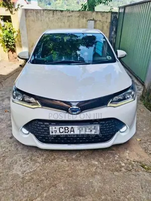 Toyota AXIO WXB 2017 Car (Used)