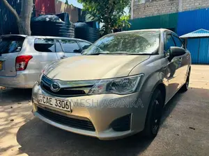 Toyota Axio 2013 Car (Used)
