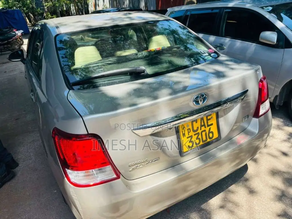 Toyota Axio 2013 Car (Used)