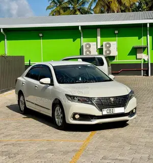 Toyota Premio NZT260 G Superior 2019 Car (Used)
