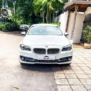 BMW 520D 2015 Car (Used)