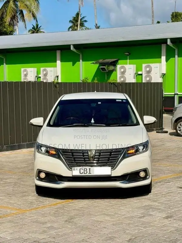 Toyota Premio NZT260 G Superior 2019 Car (Used)