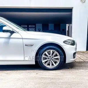 BMW 520D 2015 Car (Used)