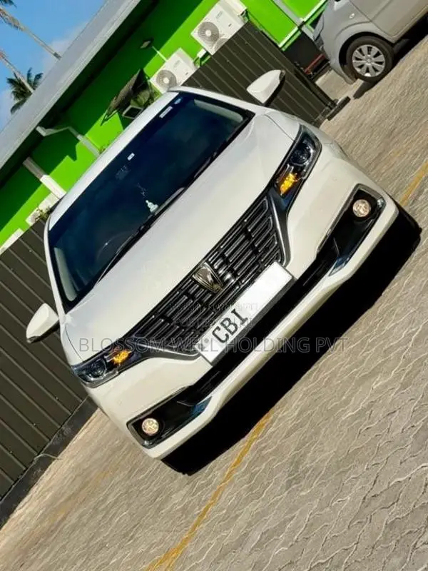 Toyota Premio NZT260 G Superior 2019 Car (Used)