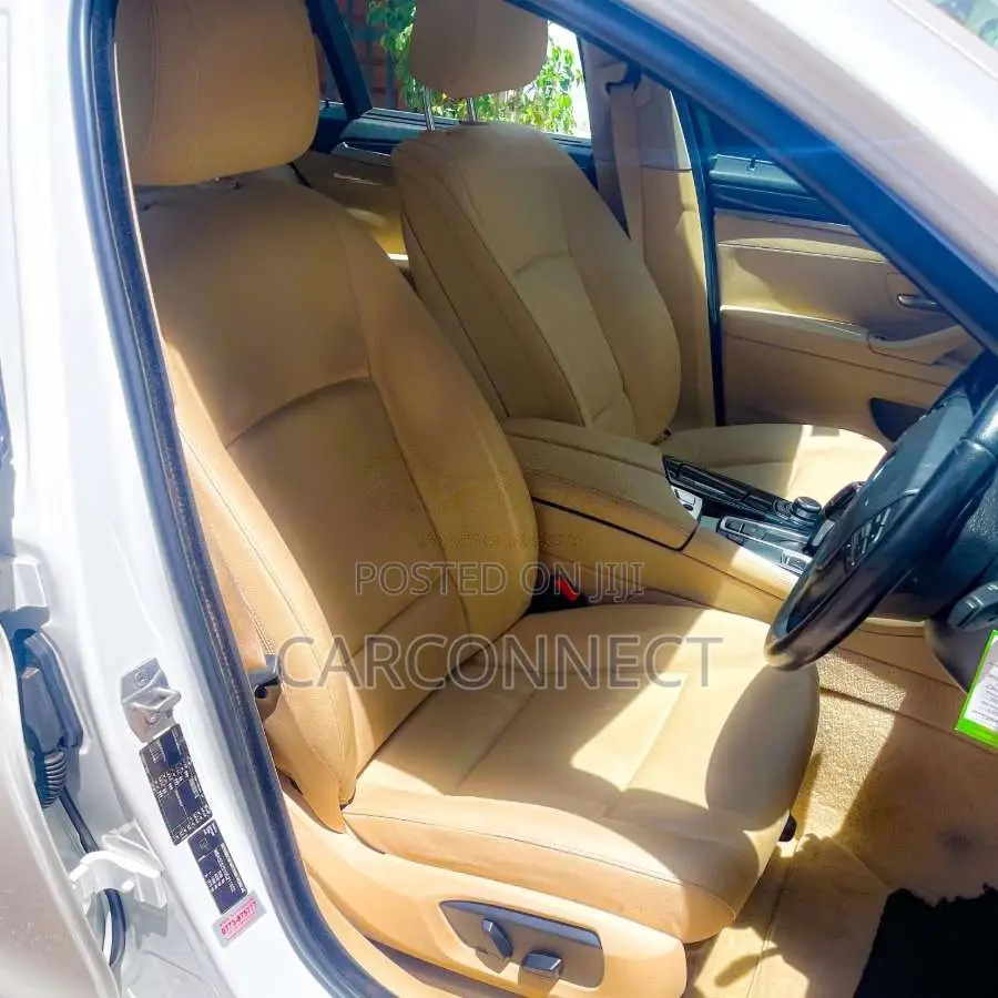 BMW 520D 2015 Car (Used)