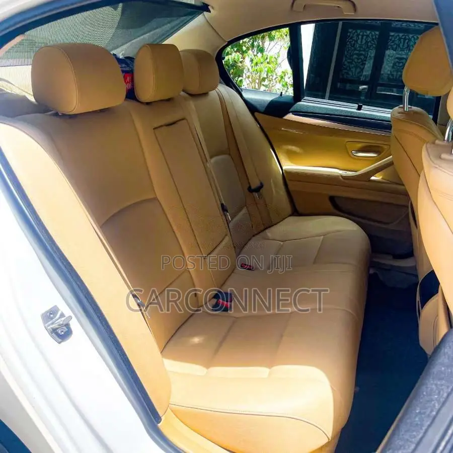 BMW 520D 2015 Car (Used)