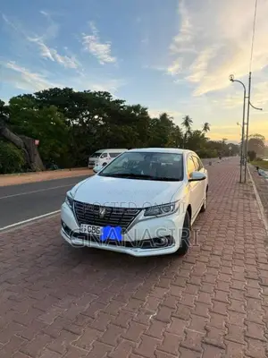 Toyota Premio 2019 Car (Used)