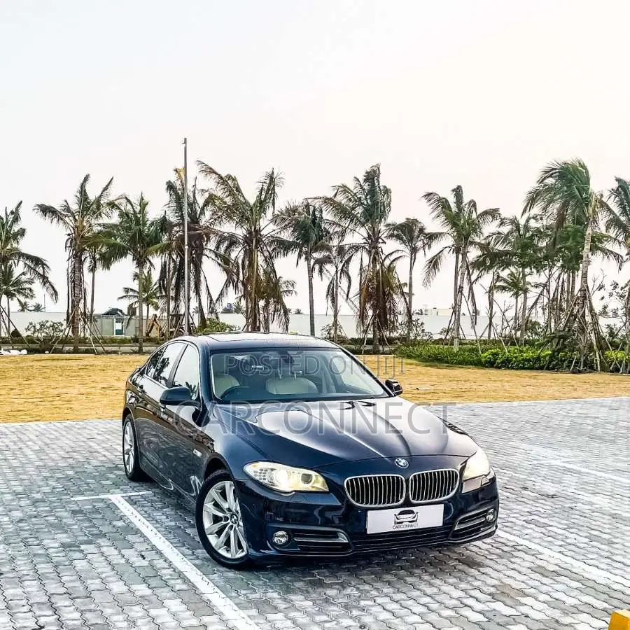 BMW 528i 2.0L Turbo 2011 Car (Used)