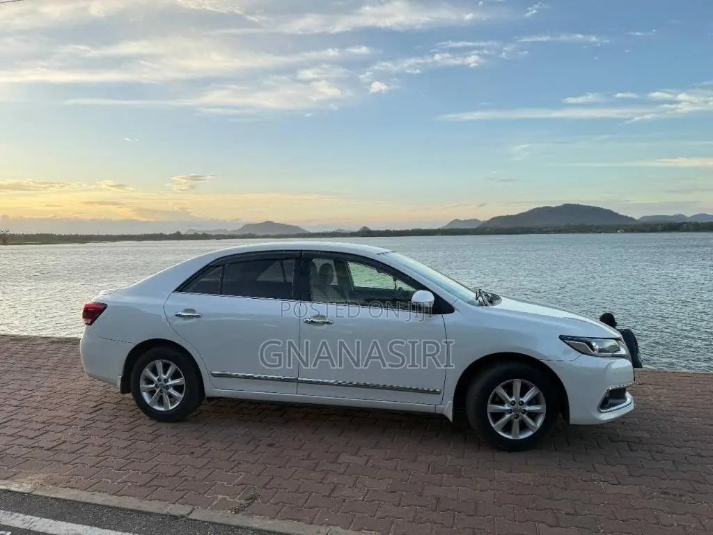 Toyota Premio 2019 Car (Used)