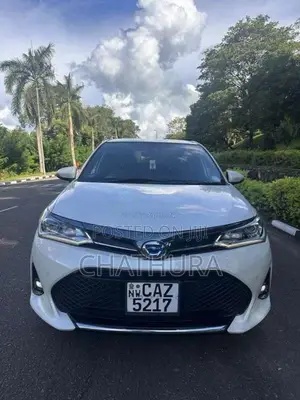 Toyota Axio WXB 2018 Car (Used)