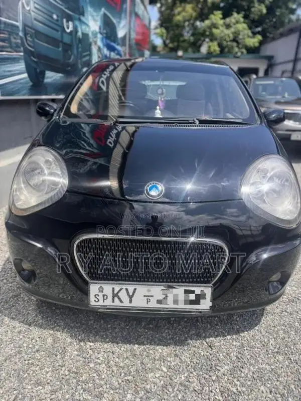 Micro Panda 2014 Car (Used)