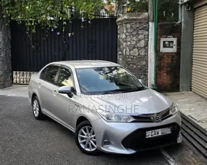 Toyota Axio 2017 Car (Used)