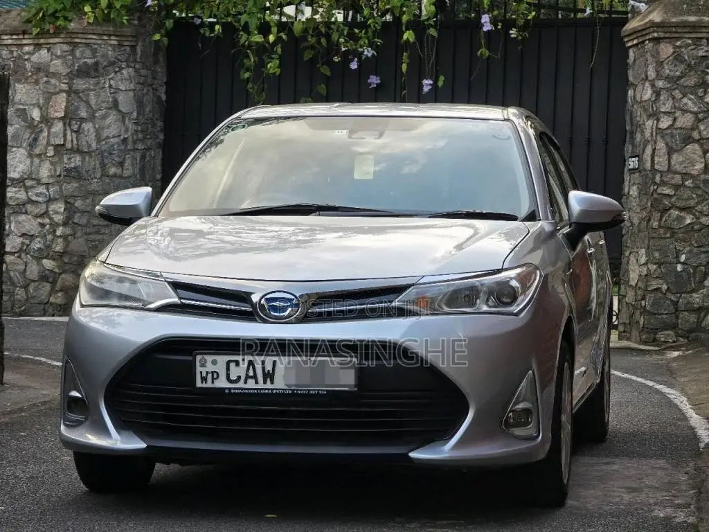 Toyota Axio 2017 Car (Used)