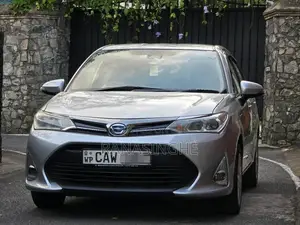 Toyota Axio 2017 Car (Used)
