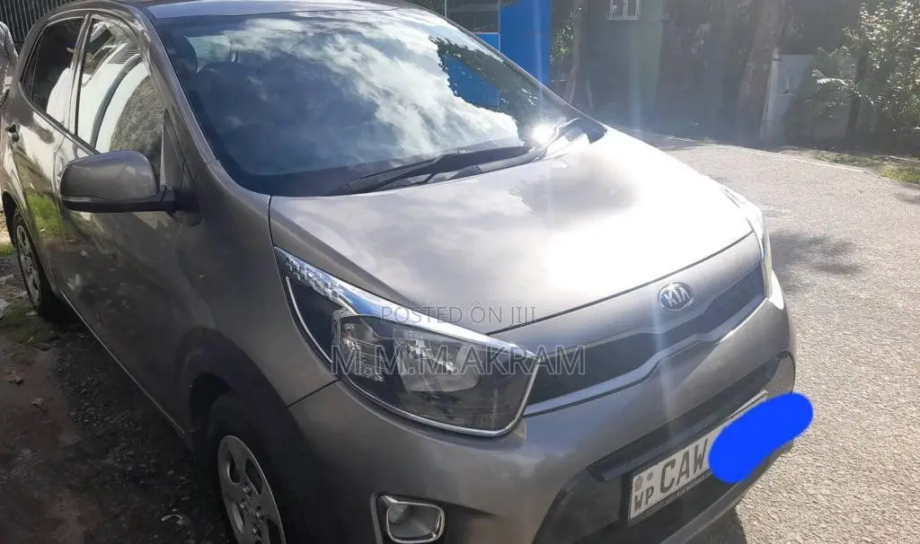 Kia Picanto 2017 Car (Used)