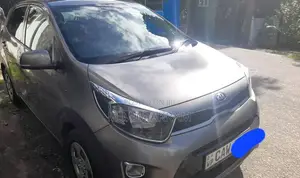 Kia Picanto 2017 Car (Used)