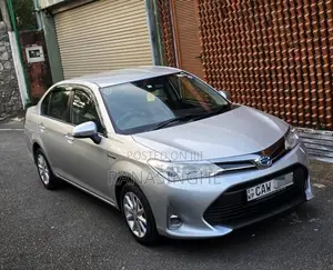 Toyota Axio 2017 Car (Used)