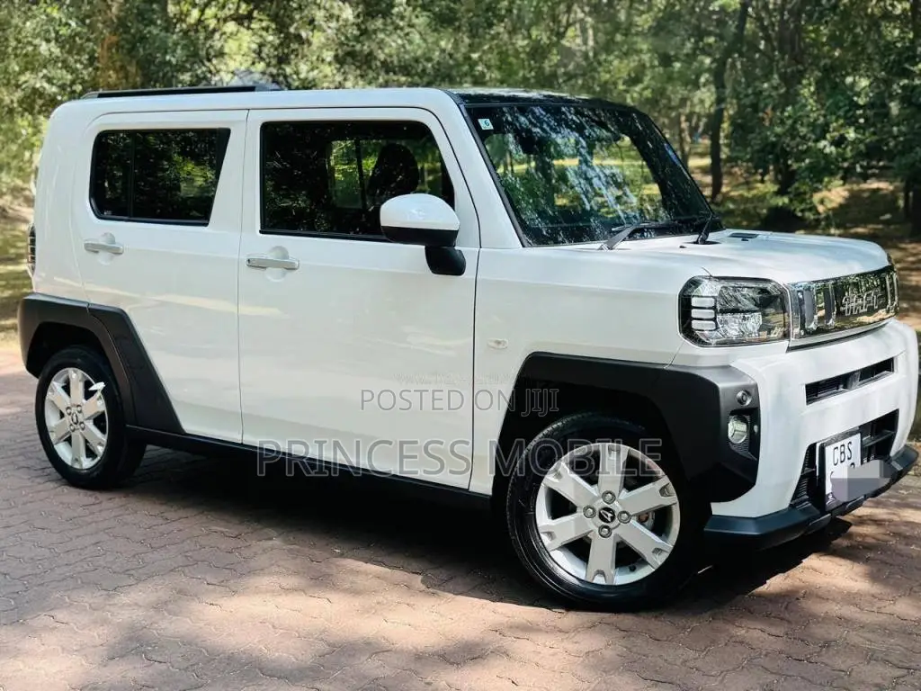 Daihatsu TAFT G Chrome 2025 Car (Used)