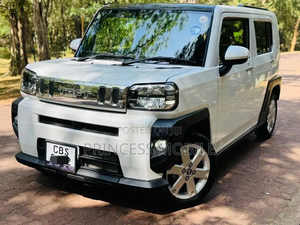 Daihatsu TAFT G Chrome 2025 Car (Used)