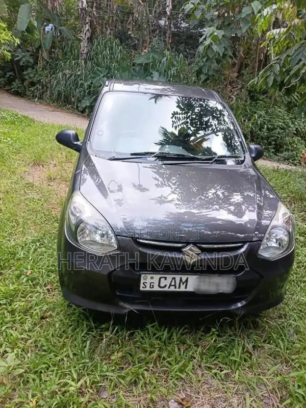 Suzuki Alto 2015 Car (Used)