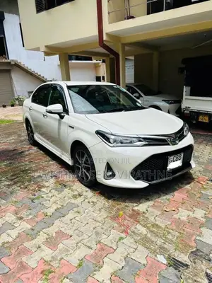 Toyota Axio 2017 Car (Used)