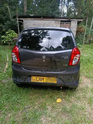 Suzuki Alto 2015 Car (Used)