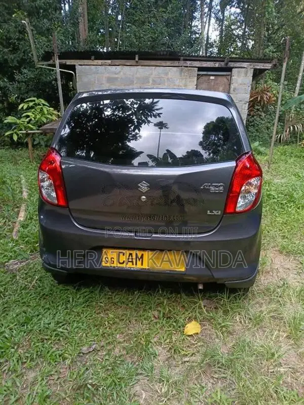 Suzuki Alto 2015 Car (Used)