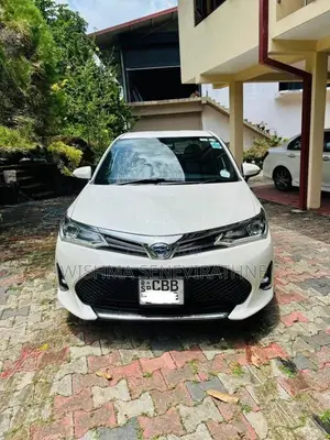 Toyota Axio 2017 Car (Used)